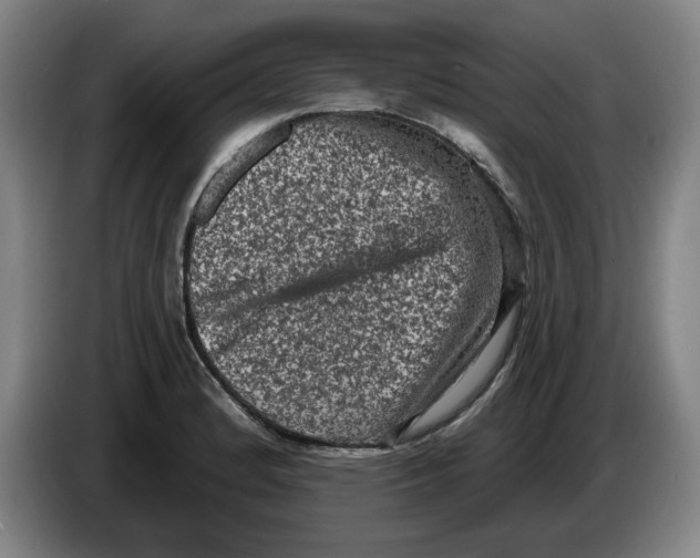 X0000086271184200704191918