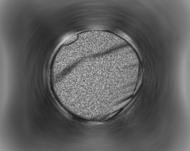 X0000086271187200704191918