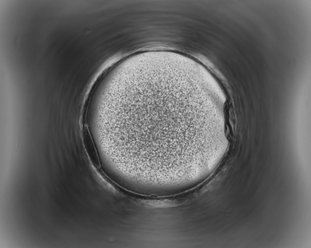 X0000086271189200704191918