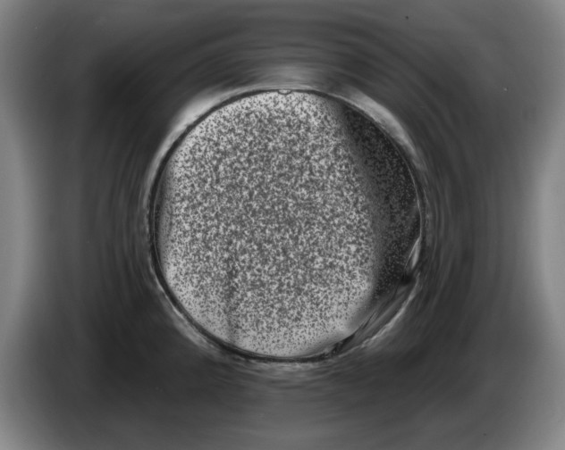 X0000086271192200704191918