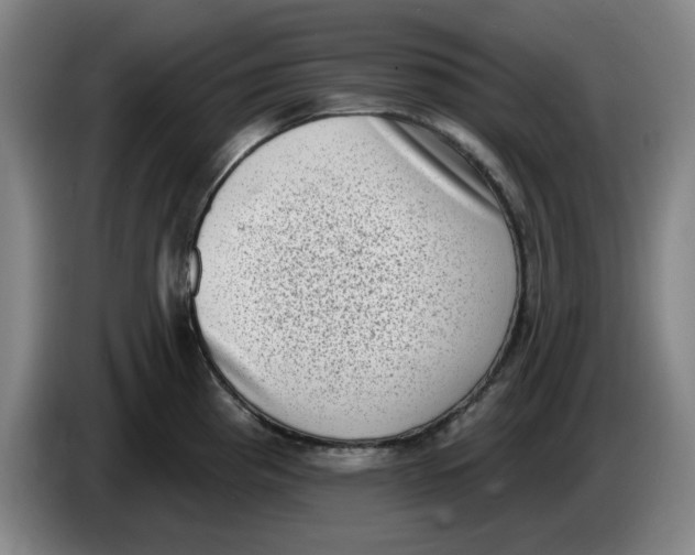 X0000086271193200704191918