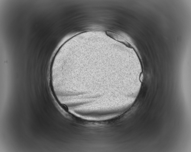 X0000086271195200704191918