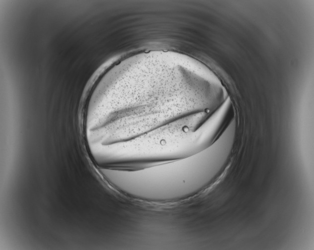 X0000086271196200704191918