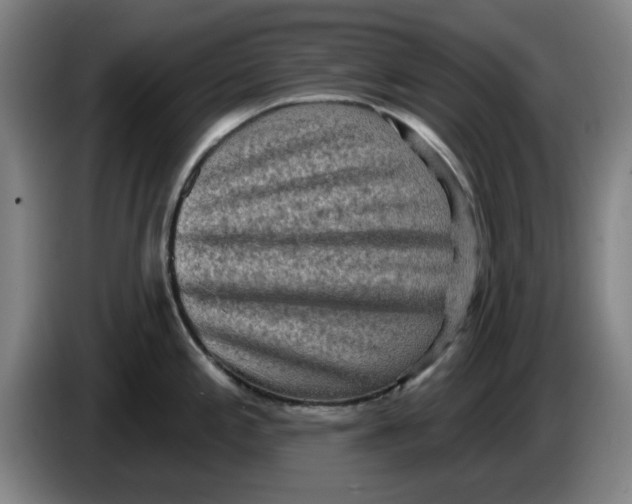 X0000086271197200704191918