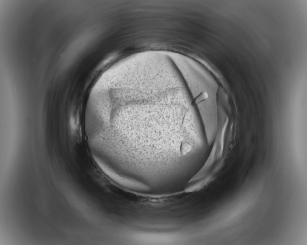 X0000086271198200704191918