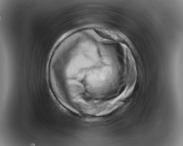 X0000086271199200704191918