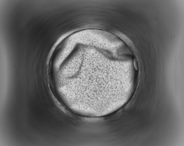 X0000086271200200704191918