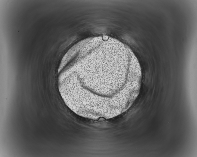 X0000086271201200704191917