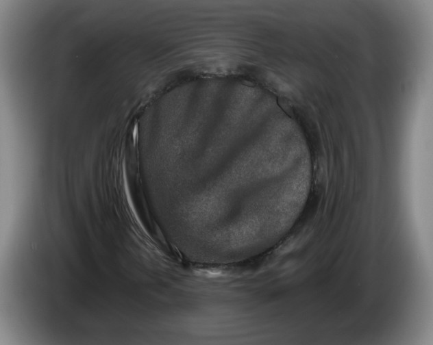 X0000086271202200704191917