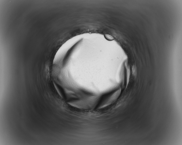 X0000086271203200704191917