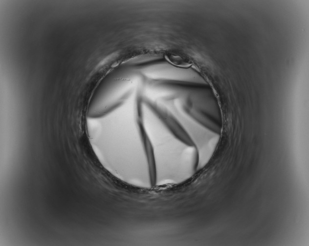 X0000086271205200704191917