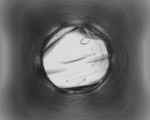 X0000086271209200704191917