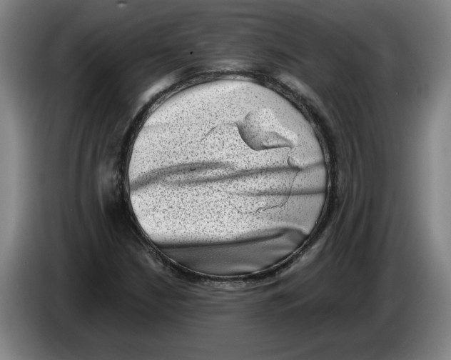 X0000086271210200704191917