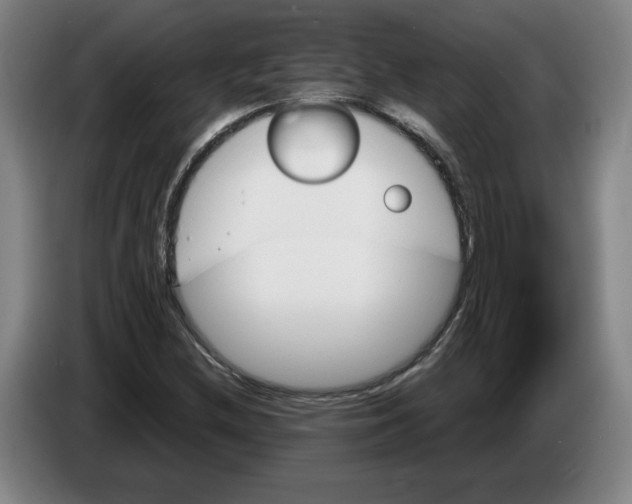 X0000086271212200704191917