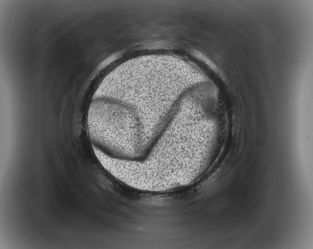 X0000086271213200704191917