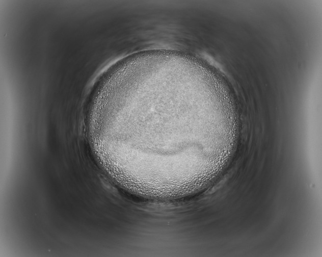 X0000086271215200704191918