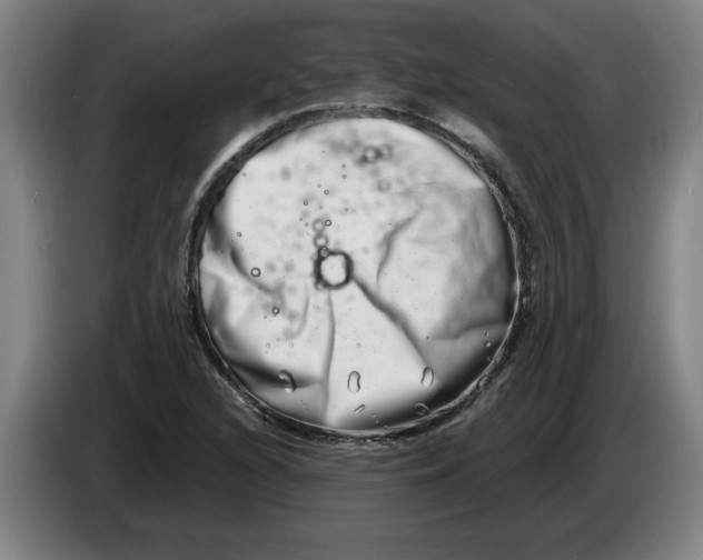 X0000086271216200704191918