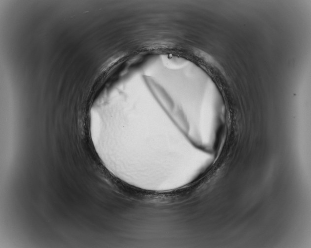 X0000086271217200704191918