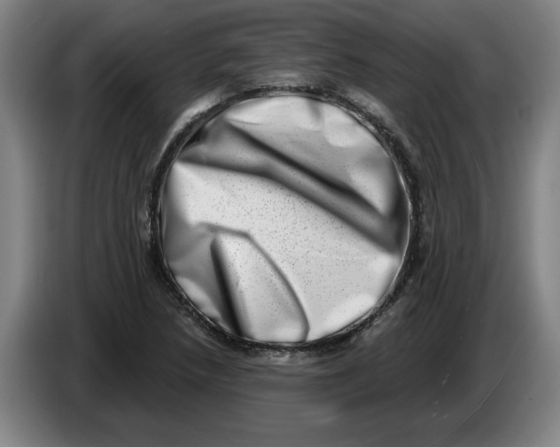 X0000086271218200704191918