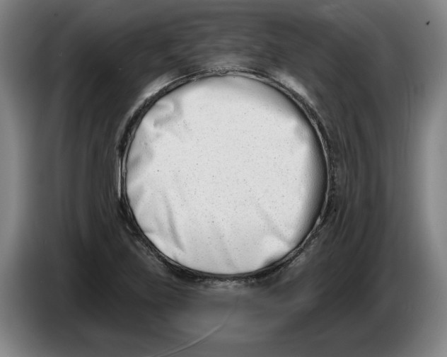 X0000086271219200704191918