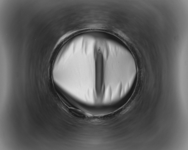 X0000086271222200704191918