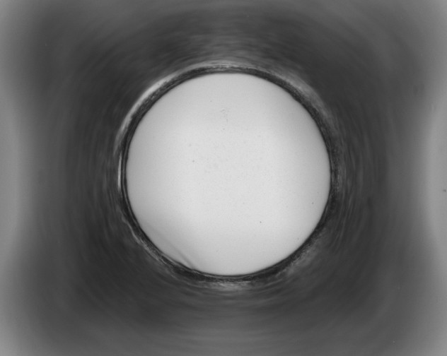 X0000086271224200704191918