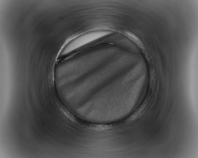 X0000086271226200704191918