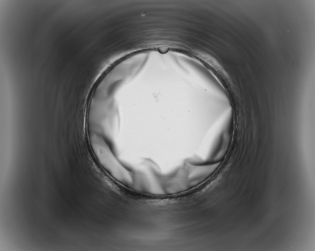 X0000086271228200704191918