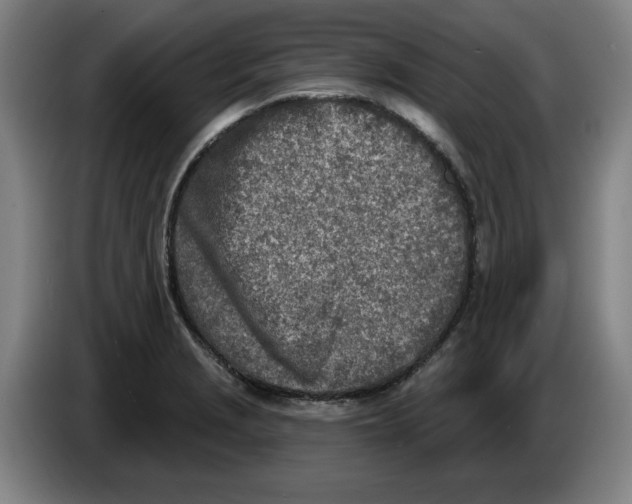 X0000086271229200704191918