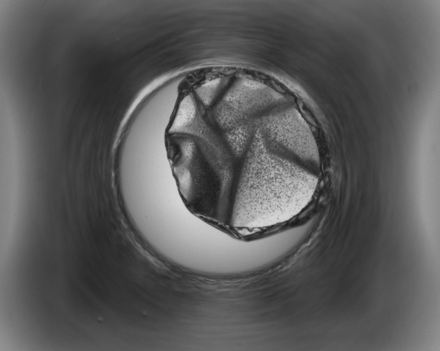 X0000086271230200704191918