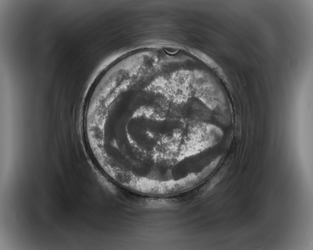 X0000086271231200704191918