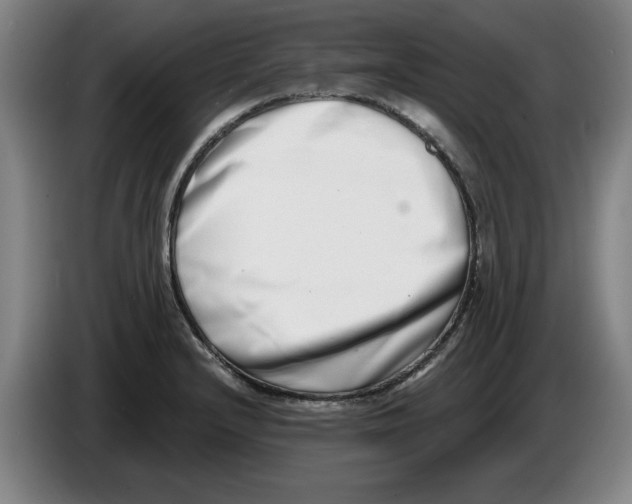 X0000086271232200704191918