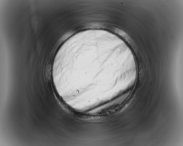 X0000086271233200704191918