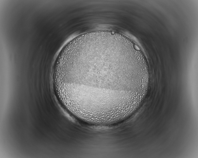 X0000086271235200704191918