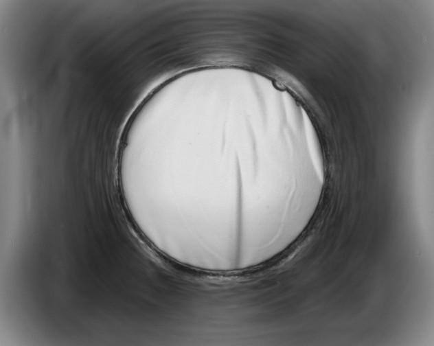 X0000086271236200704191918