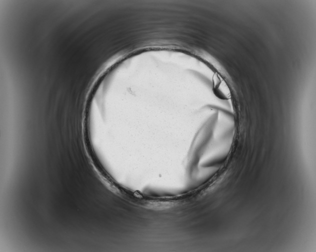 X0000086271237200704191918