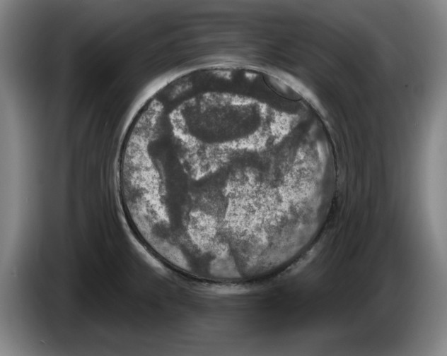 X0000086271239200704191918