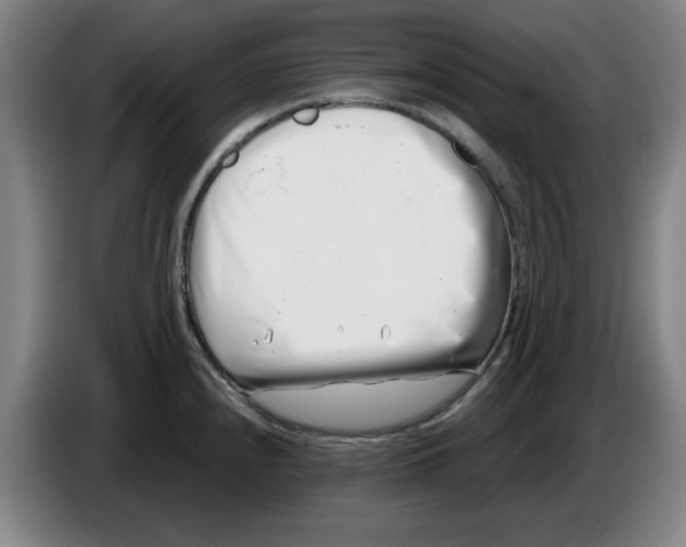 X0000086271240200704191918