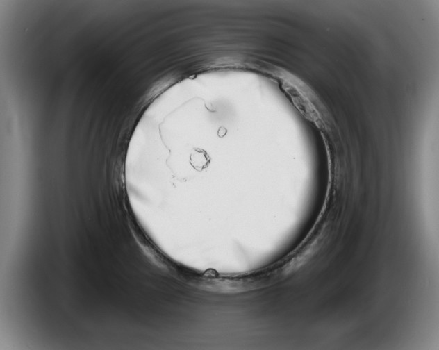 X0000086271241200704191918