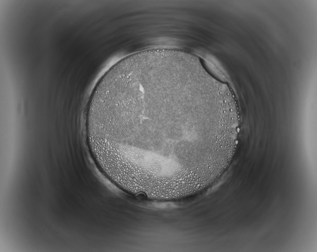 X0000086271243200704191918