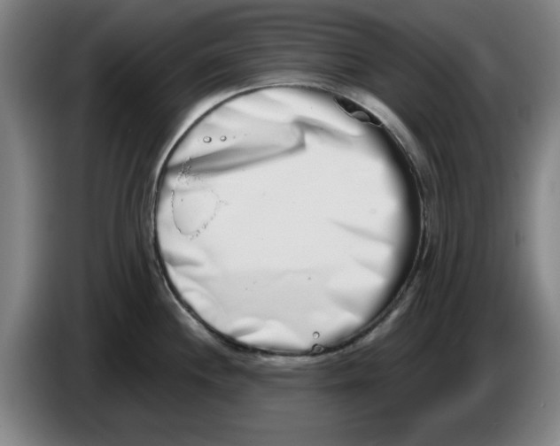 X0000086271244200704191918