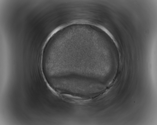 X0000086271245200704191918