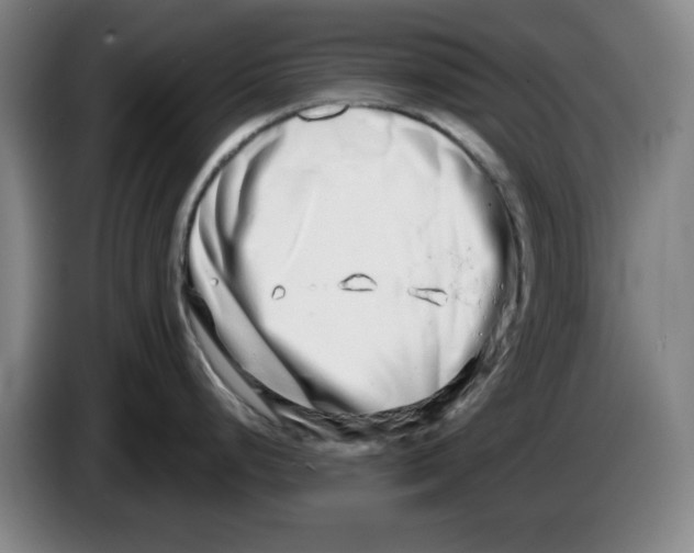 X0000086271248200704191918