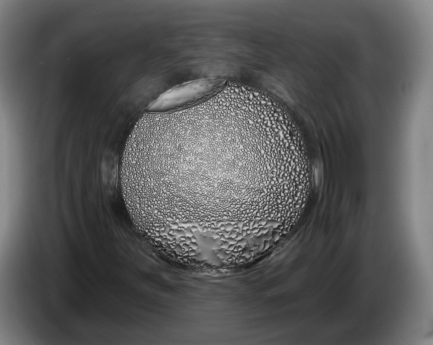 X0000086271251200704191917