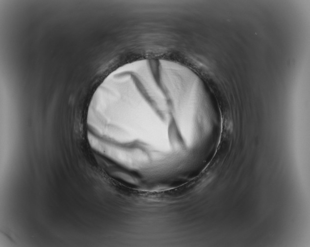 X0000086271252200704191917