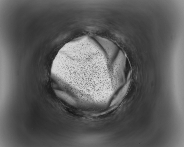 X0000086271253200704191917