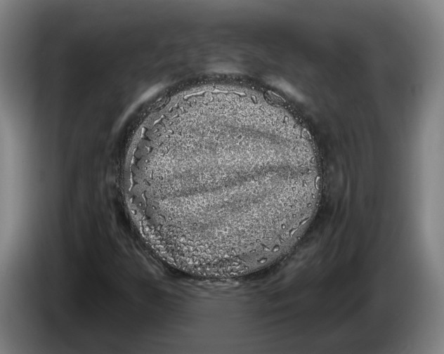 X0000086271255200704191917