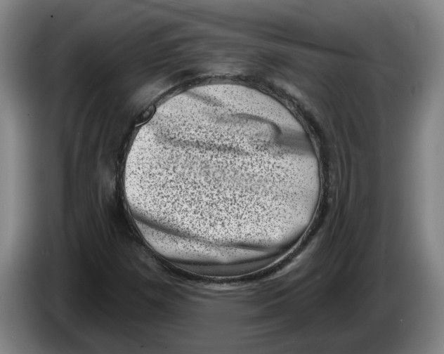 X0000086271257200704191917