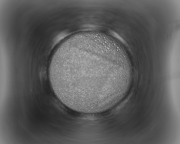 X0000086271259200704191917