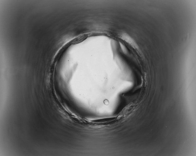 X0000086271260200704191917